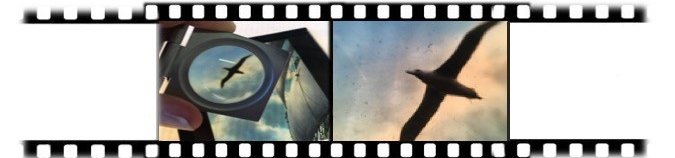 Darkrooms and Representations image